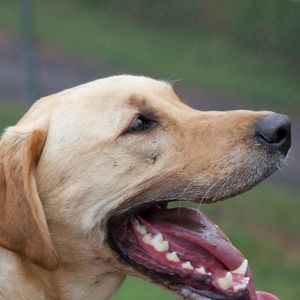 Meet your Posher, Cherice