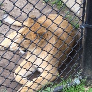 Meet your Posher, Wayne