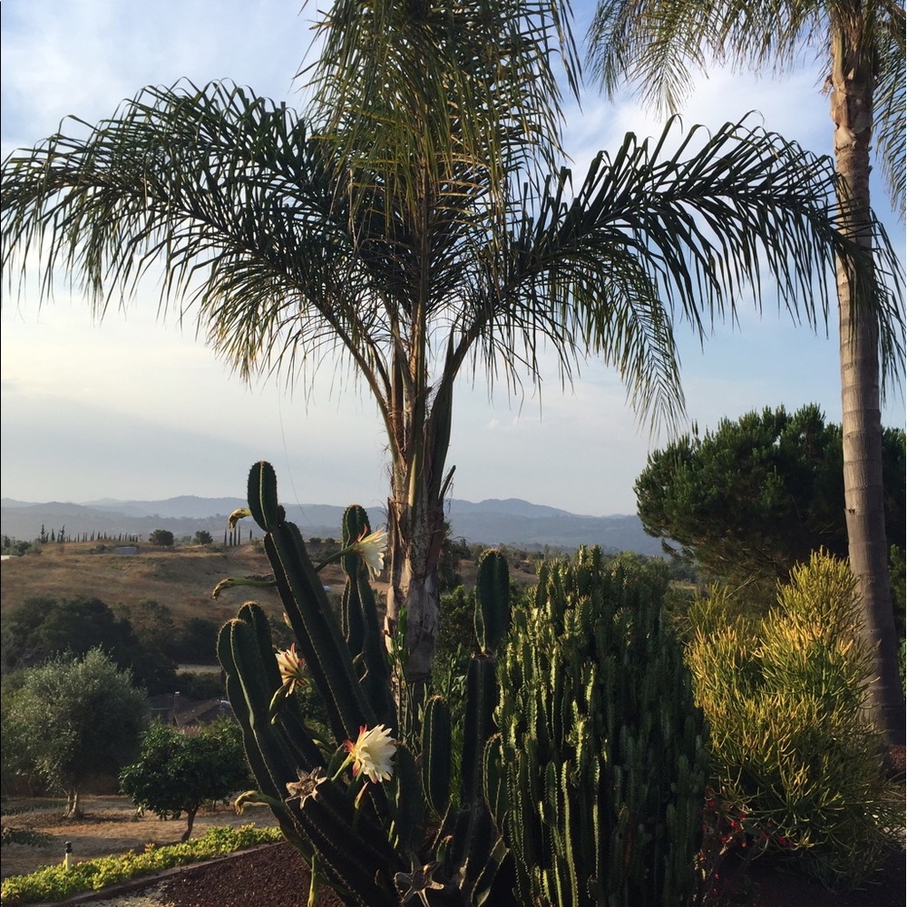 Meet your Posher, Cynthia