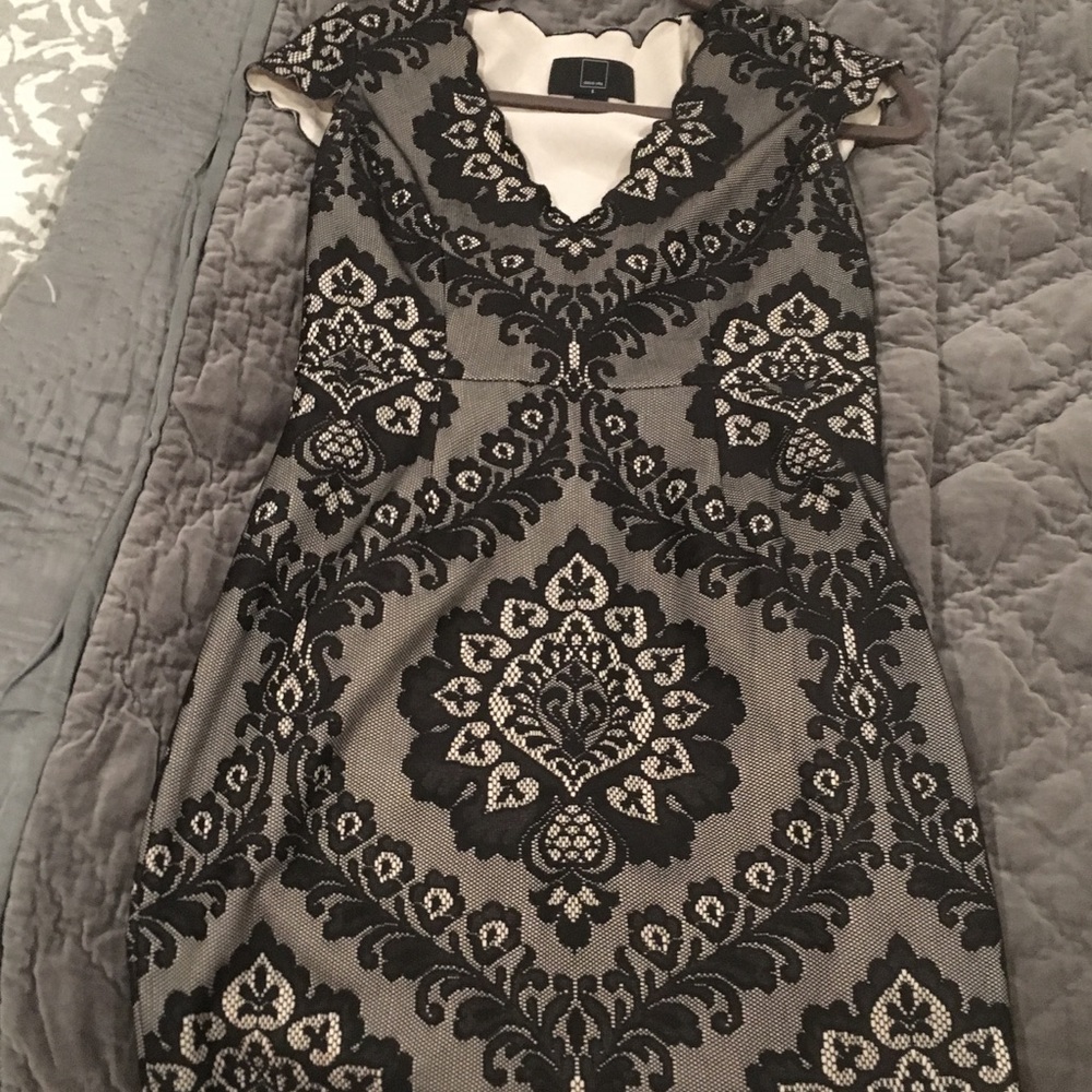 Lace black and nude cocktail dress by dolce vita