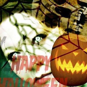 Meet your Posher, Hollie