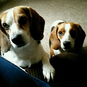 Meet your Posher, Teri