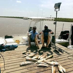 Meet your Posher, Preston