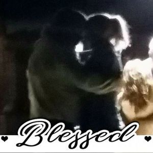 Meet your Posher, Dawn