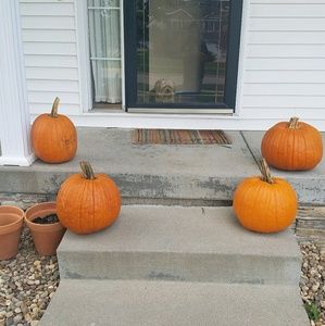 Meet your Posher, Connie