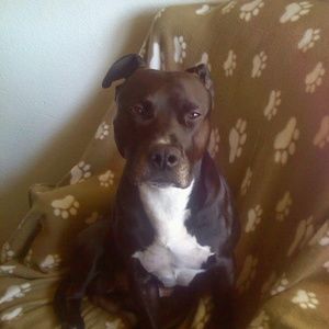 Meet your Posher, Suzette