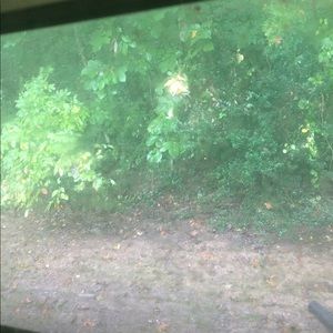 Meet your Posher, Curtis