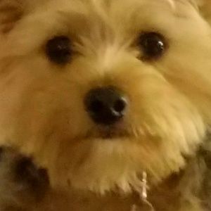 Meet your Posher, Evan