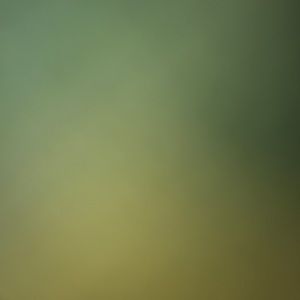 Meet your Posher, Young