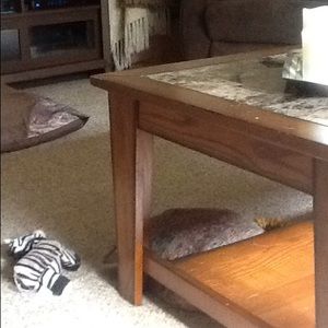 Meet your Posher, Tony