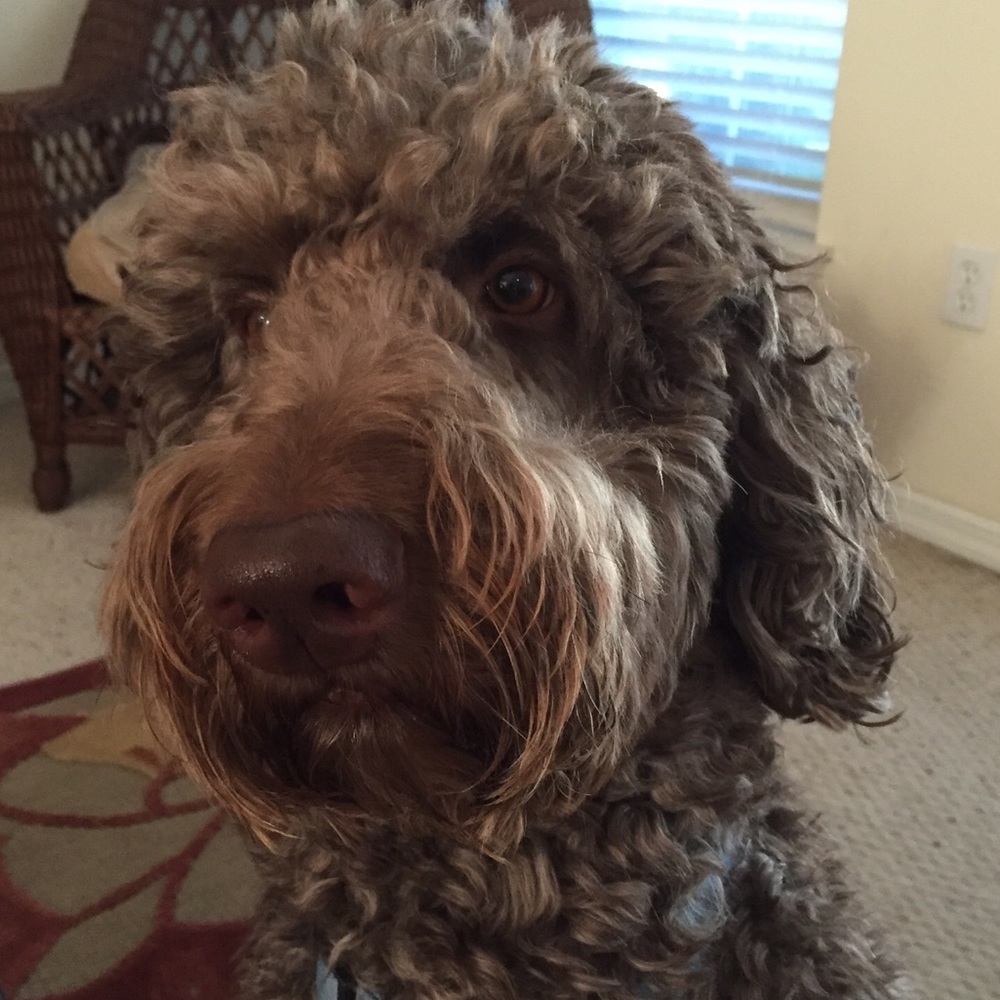 Meet your Posher, !stephanie!