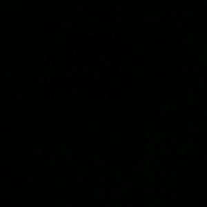 Meet your Posher, Isaiah