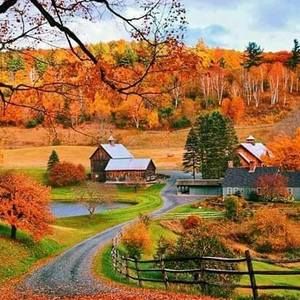 Meet your Posher, Edith