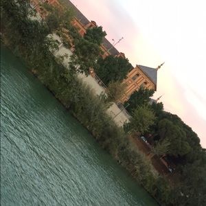 Meet your Posher, Patricia