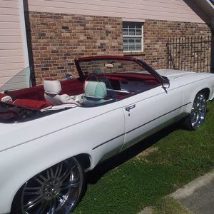 Meet your Posher, Leon