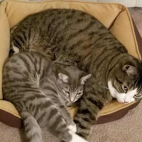 Meet your Posher, Larissa - Picture 2 of 2