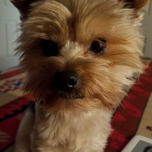 Meet your Posher, Cindy