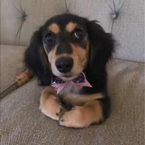 Meet your Posher, Christa