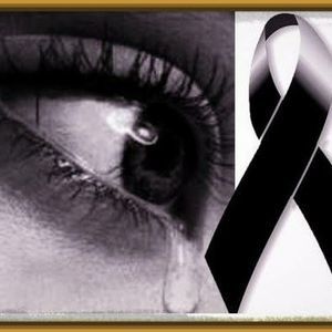 Meet your Posher, Mirna