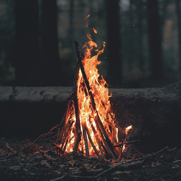 Meet your Posher, Sam - Picture 1 of 1