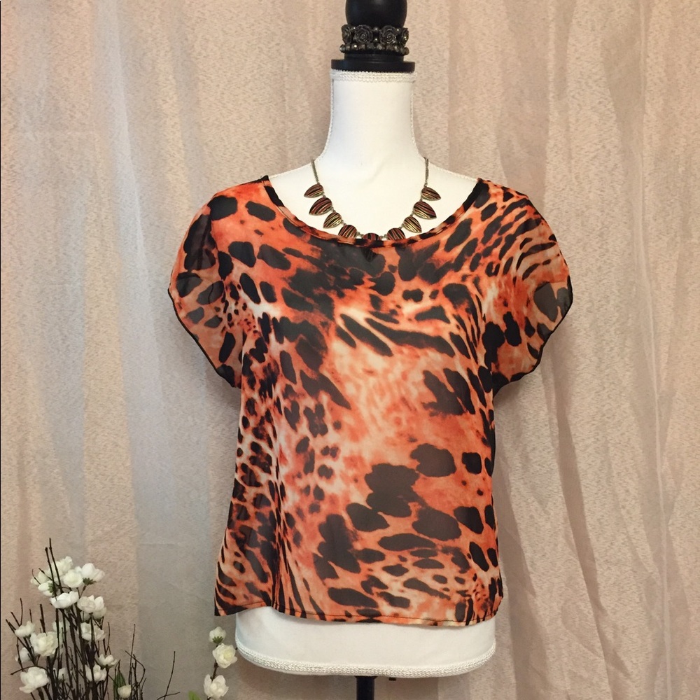 Love Culture Open back sheer Top