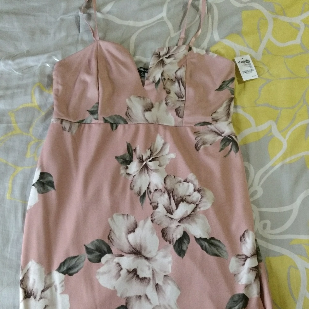 BNWT Blush Floral Mini Dress - Size 1X