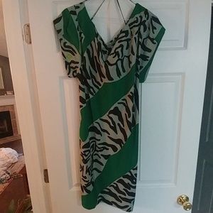 Animal Print Green Dress