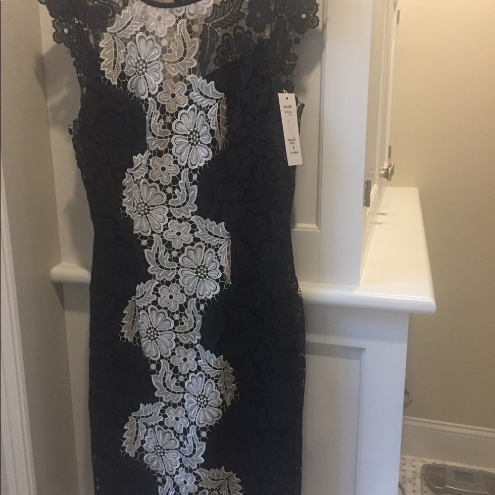 Lace dress by Erin Marlene fetherston Dress. Never worn new with tags.