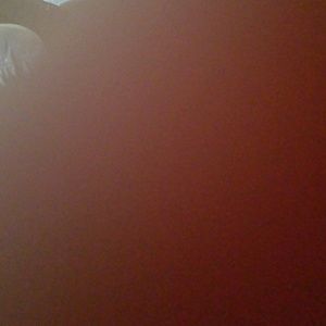 Meet your Posher, Marsha