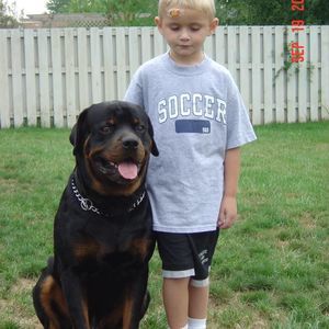 Meet your Posher, Logan