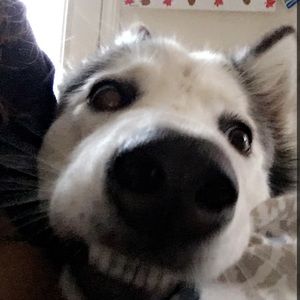 Meet your Posher, Trinity