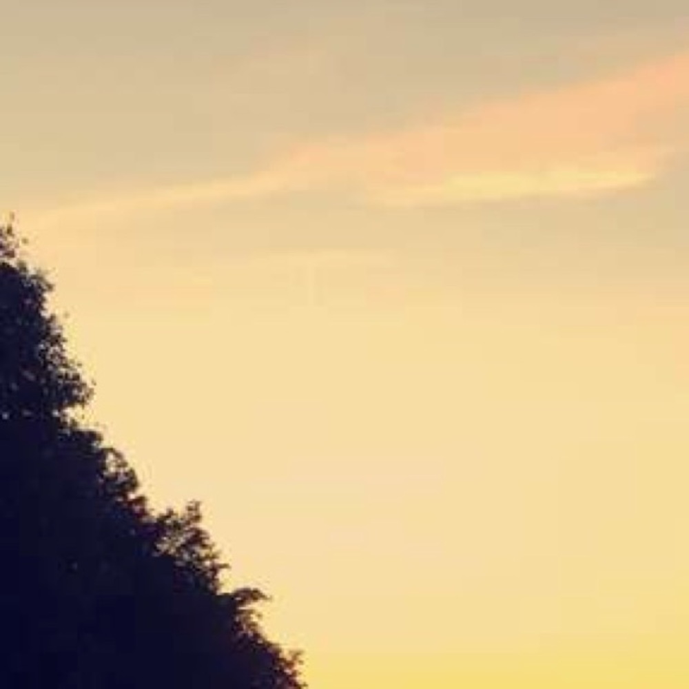 Meet your Posher, Summer