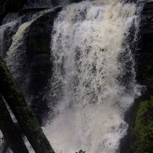 Meet your Posher, Maddy