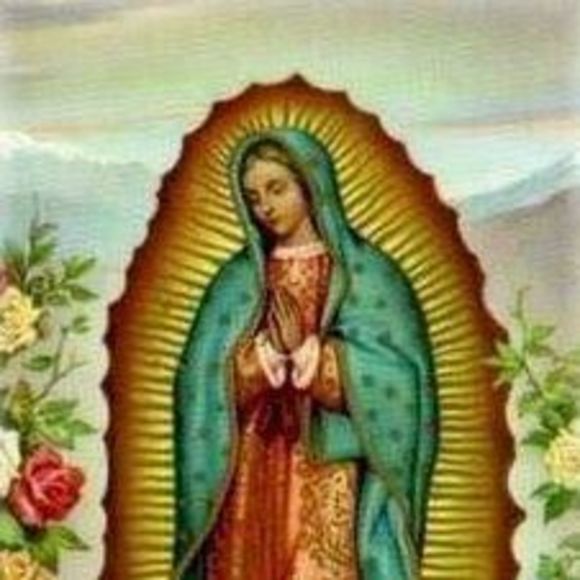 Meet your Posher, Aracelis - Picture 1 of 1