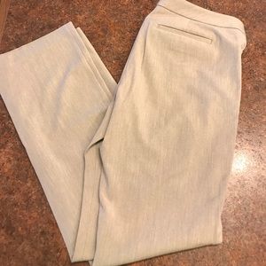 Express barely boot columnist dress pants