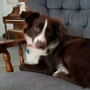 Meet your Posher, Robin