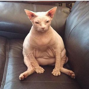 Meet your Posher, Valentina