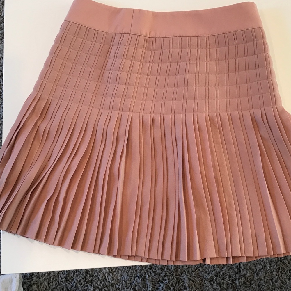 Pleated dark blush skirt.