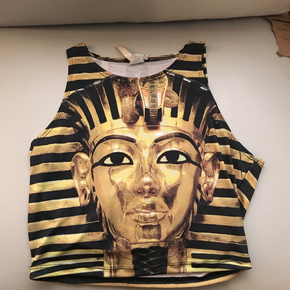 F21 inspired King Tut Crop Top