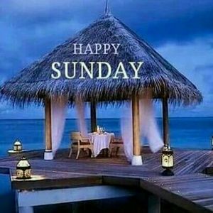 Meet your Posher, Jack