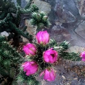 Meet your Posher, Roberta