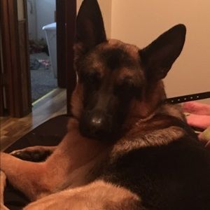 Meet your Posher, Candi