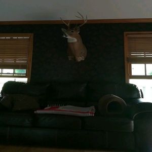 Meet your Posher, Steve