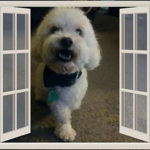 Meet your Posher, Pamela