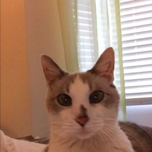 Meet your Posher, Denise