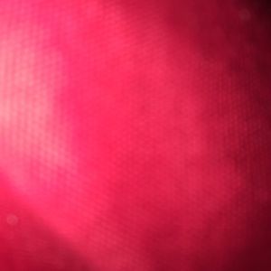 Meet your Posher, Bryce