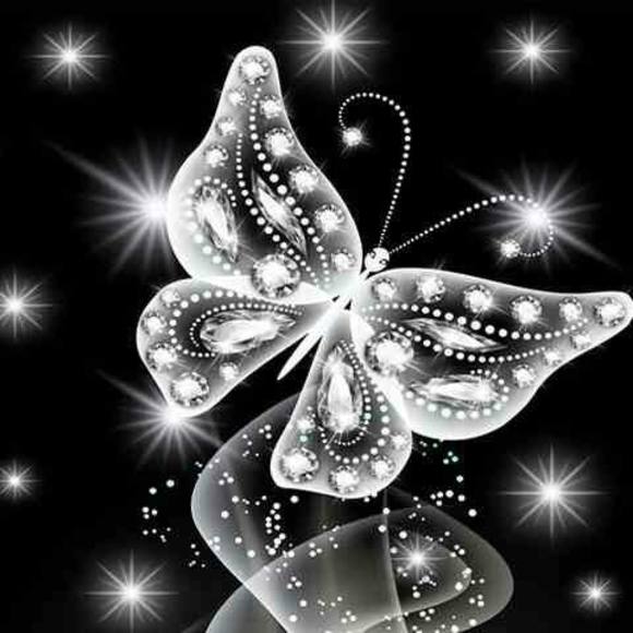 Meet your Posher, Rana - Picture 1 of 1