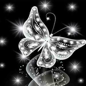 Meet your Posher, Rana