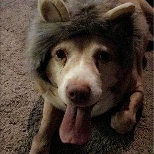 Meet your Posher, Christian