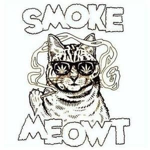 Meet your Posher, Bill